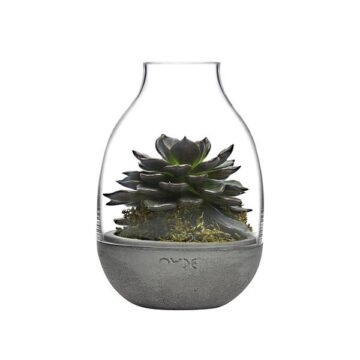 Nude Eden Mini Terrarium 230mm