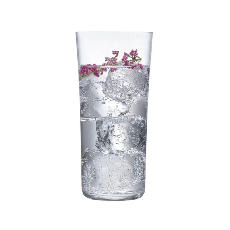 Nude Savage Highball Glasses Clear (Set of 4)